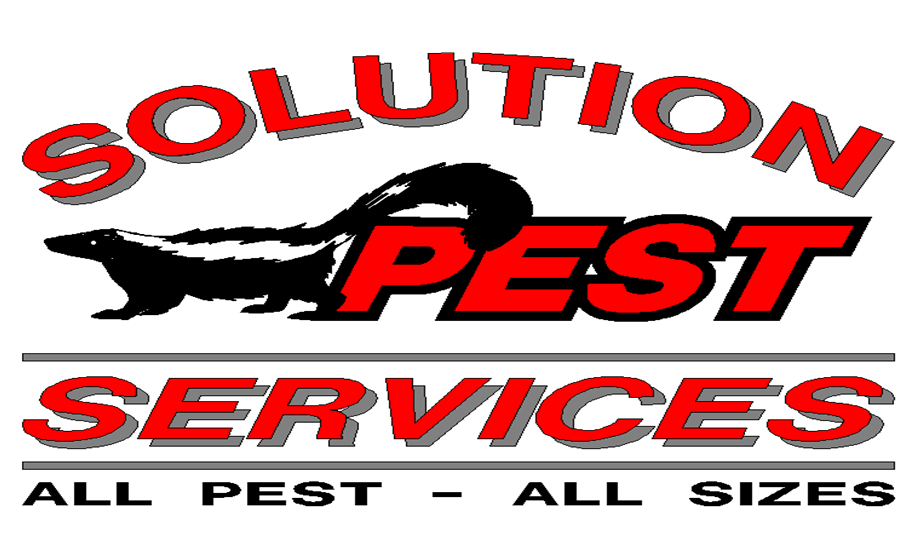 Solution Pest Services | Effective Service, Excellent Results - Outstanding Reputation